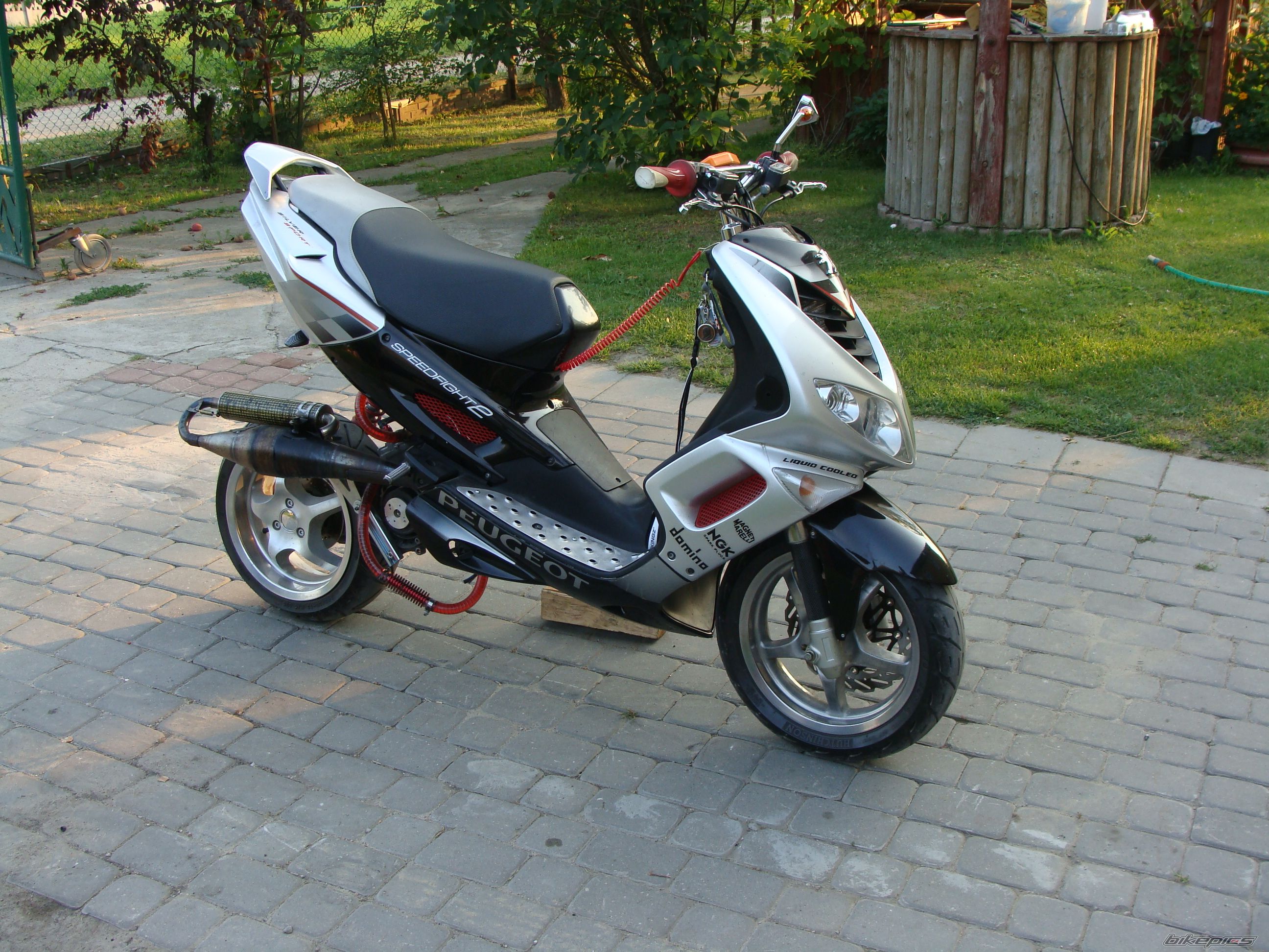 Photo 2574783