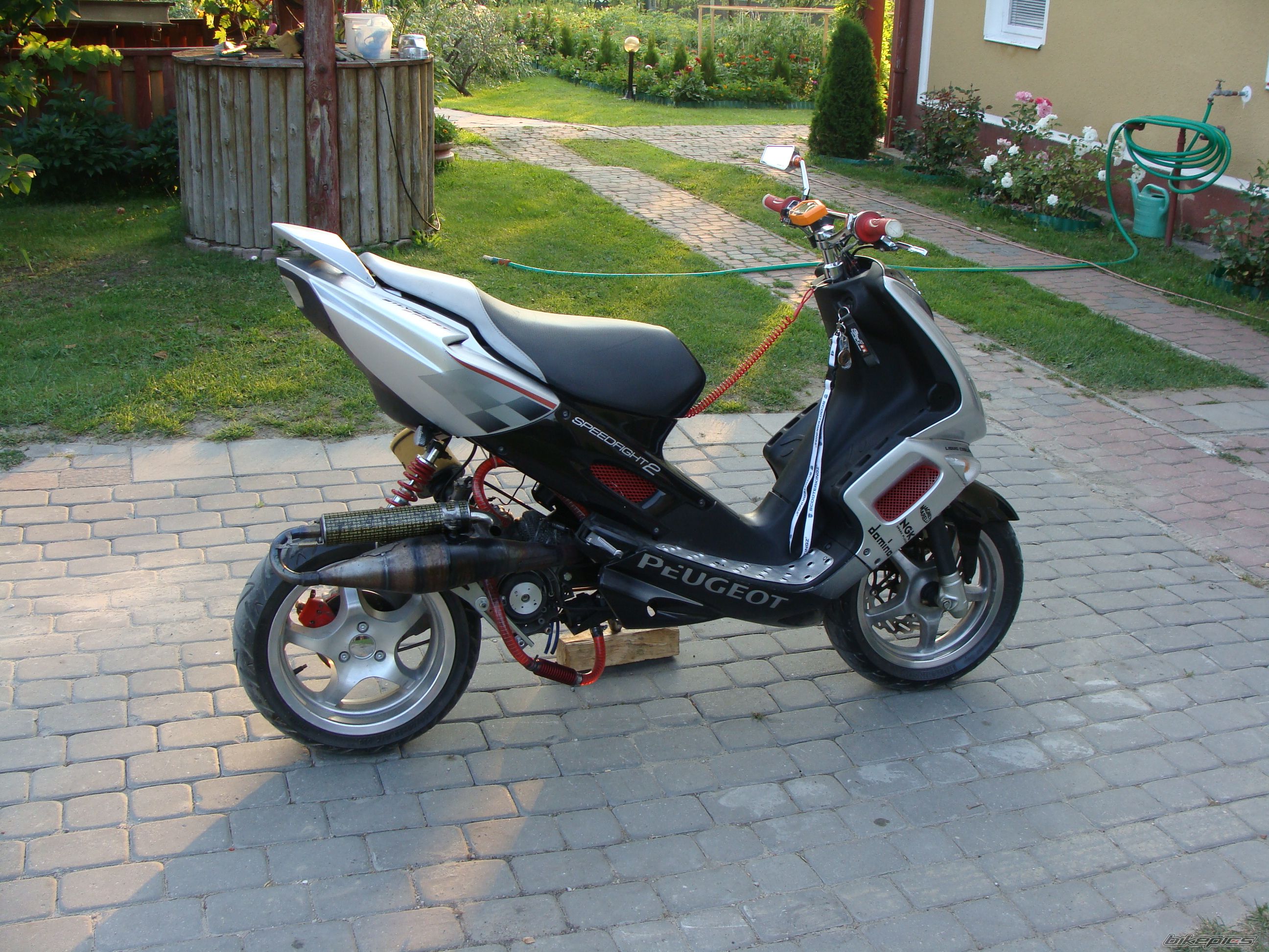 Photo 2574784
