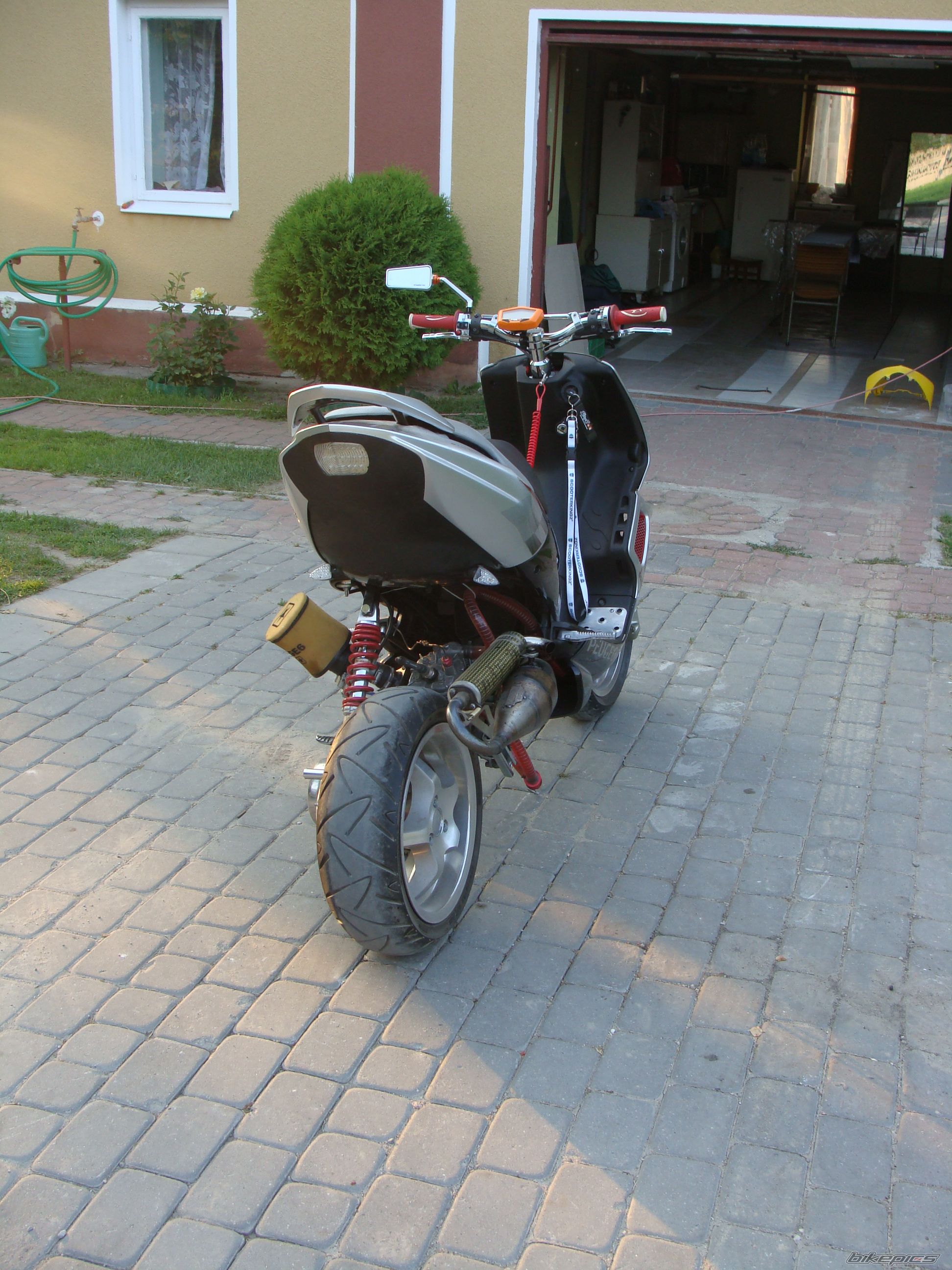 Photo 2574785