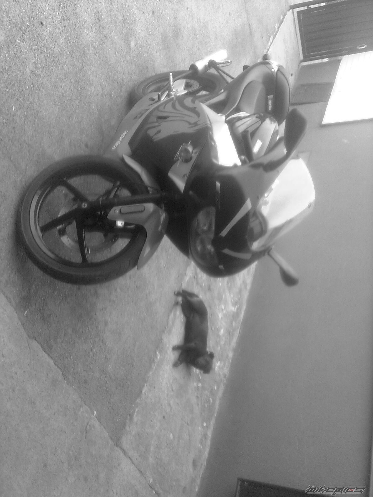 Photo 2574806