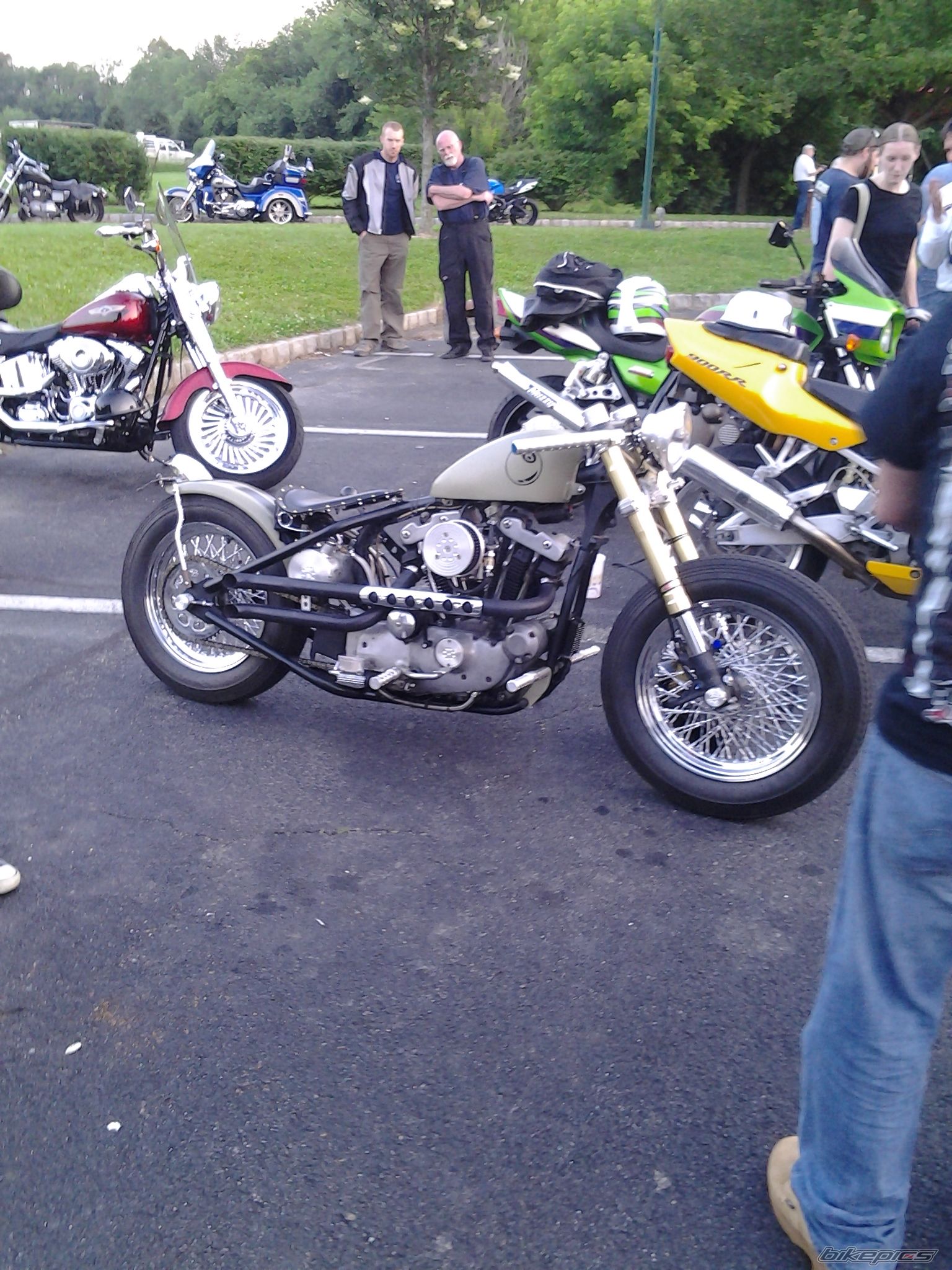 Photo 2574885