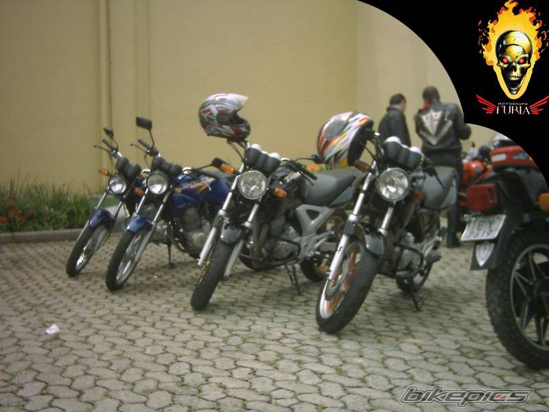 Photo 257489