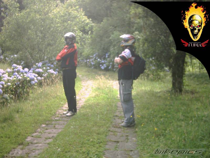 Photo 257494