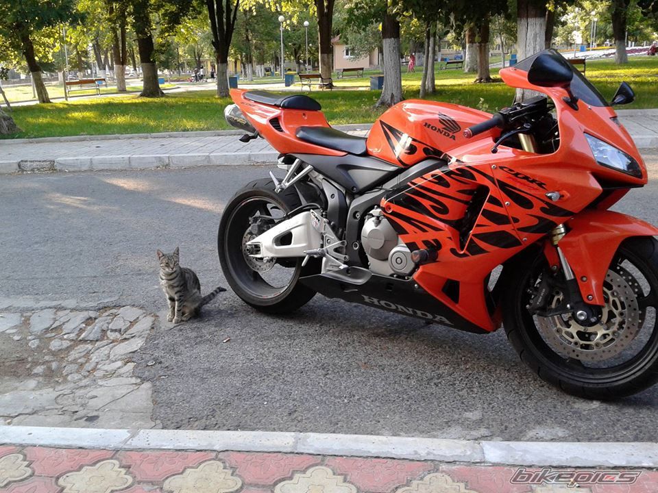 Bike Photo 2574954