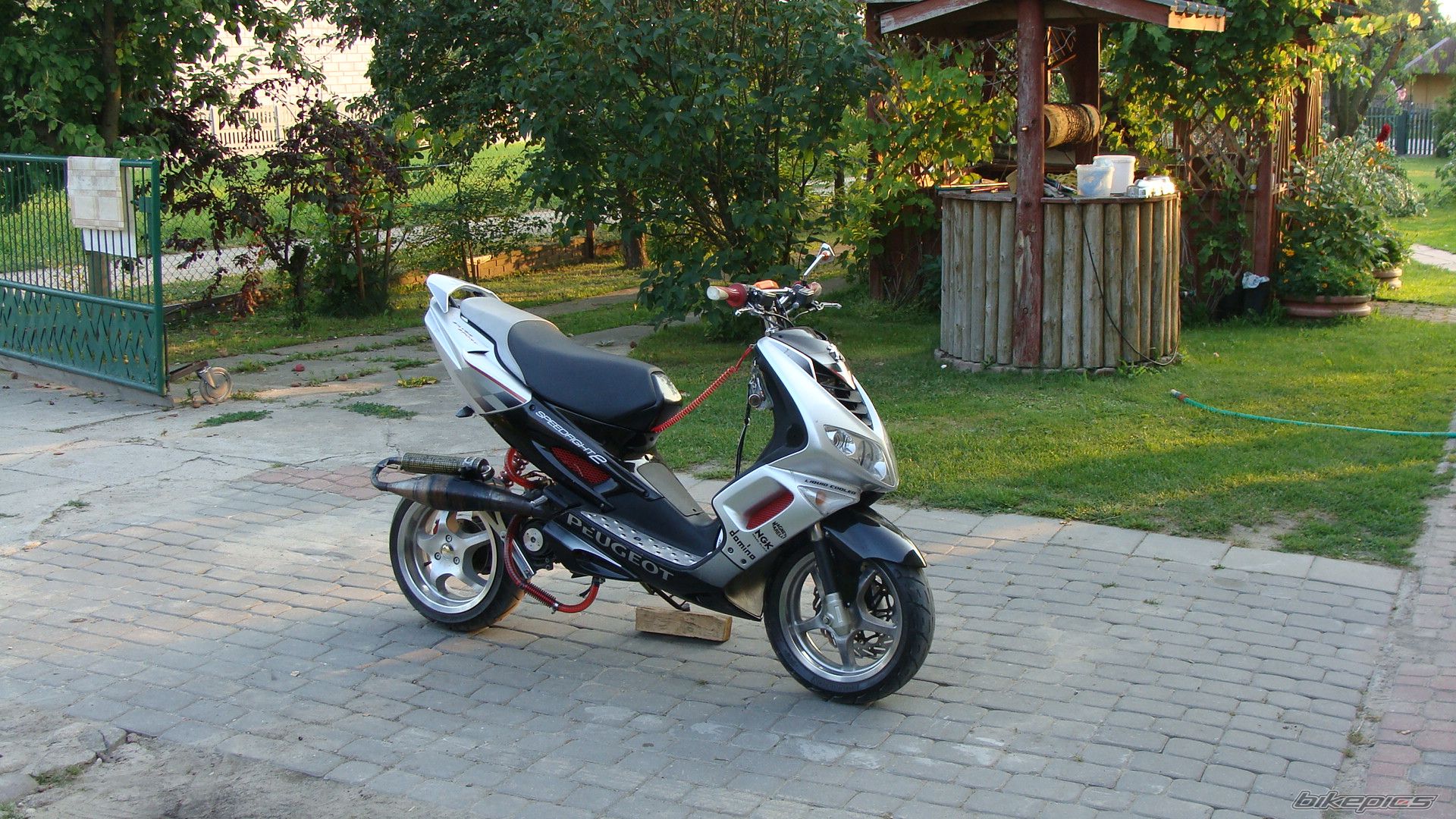 Photo 2574969