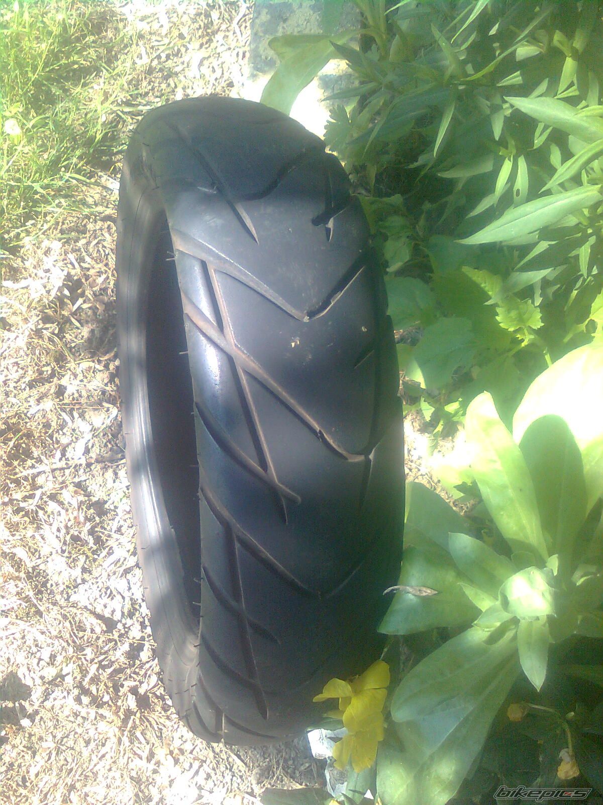 Photo 2575060