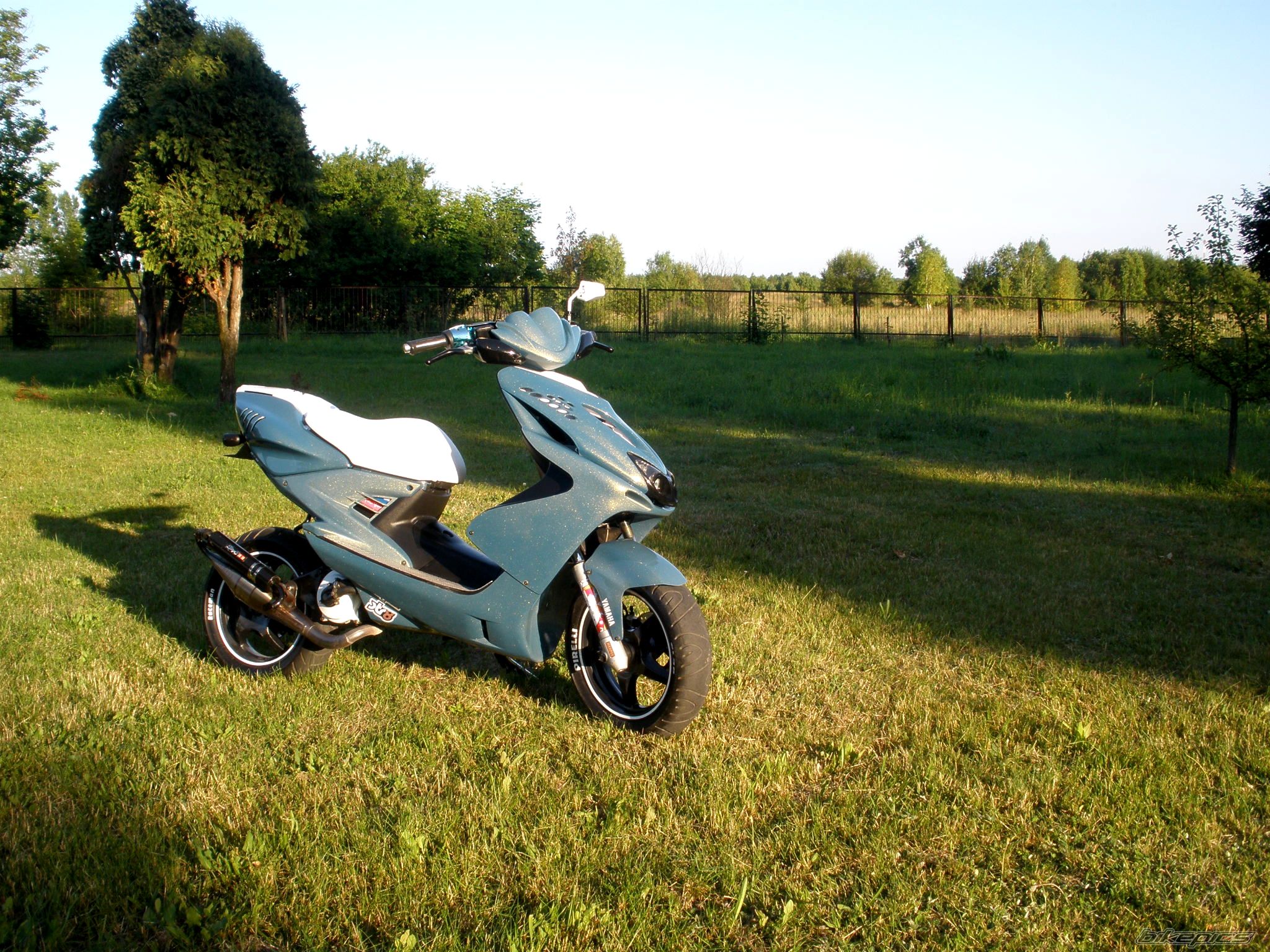 Photo 2575093