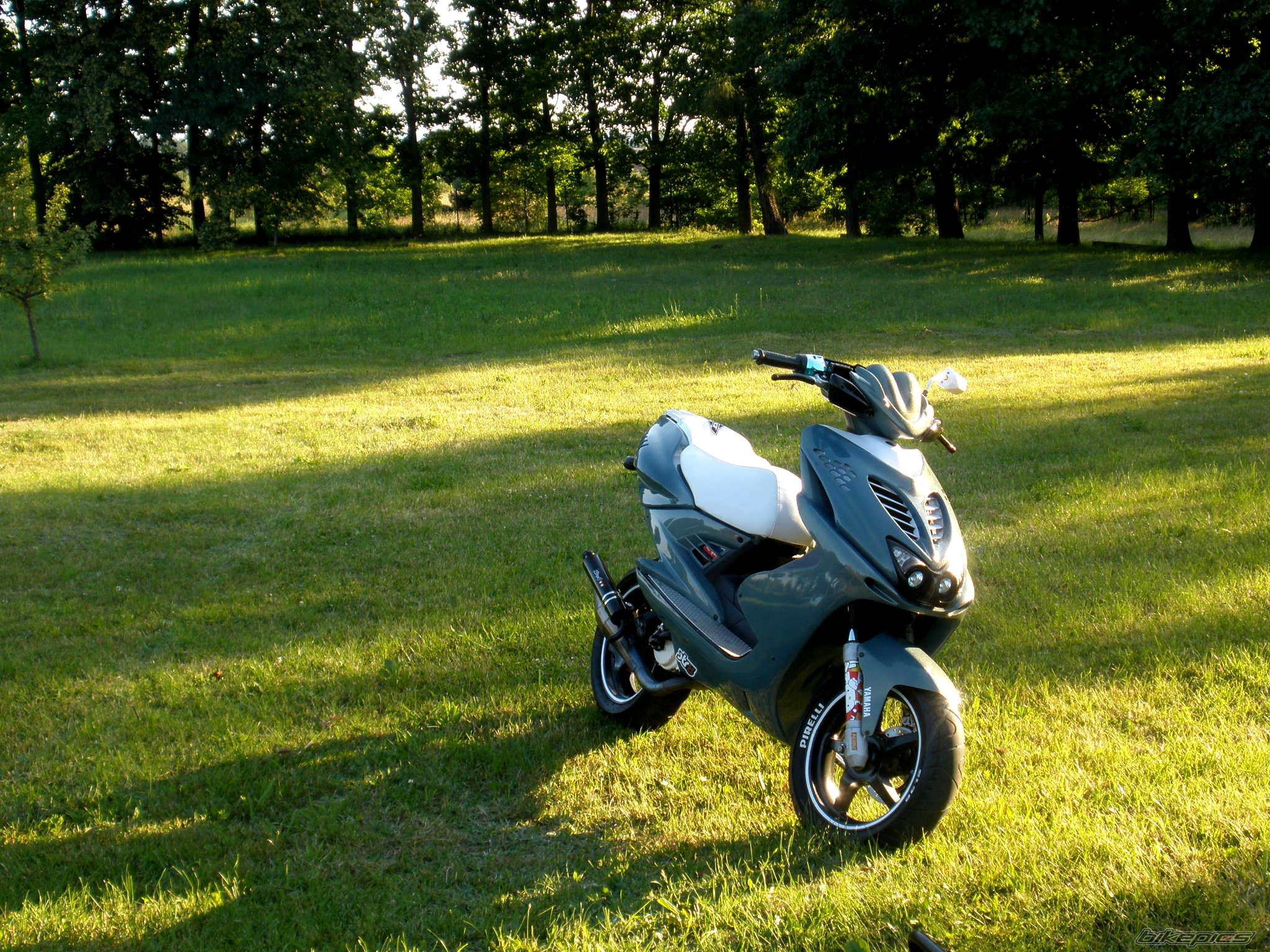 Photo 2575094