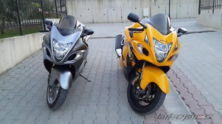 Photo 2575116