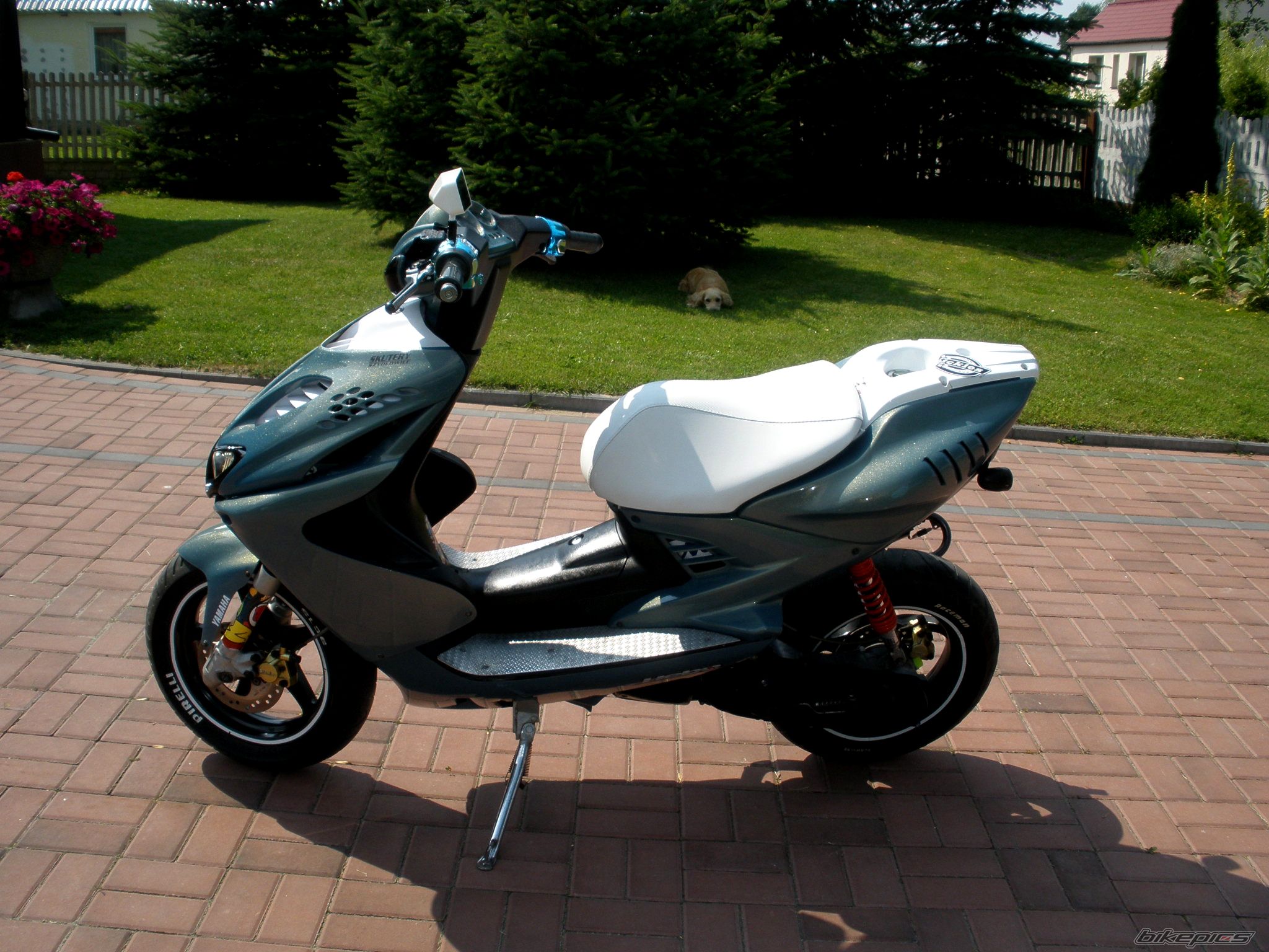 Photo 2575117