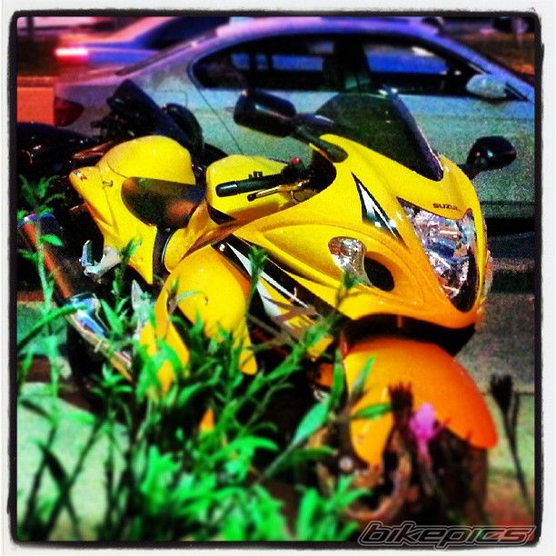 Photo 2575120
