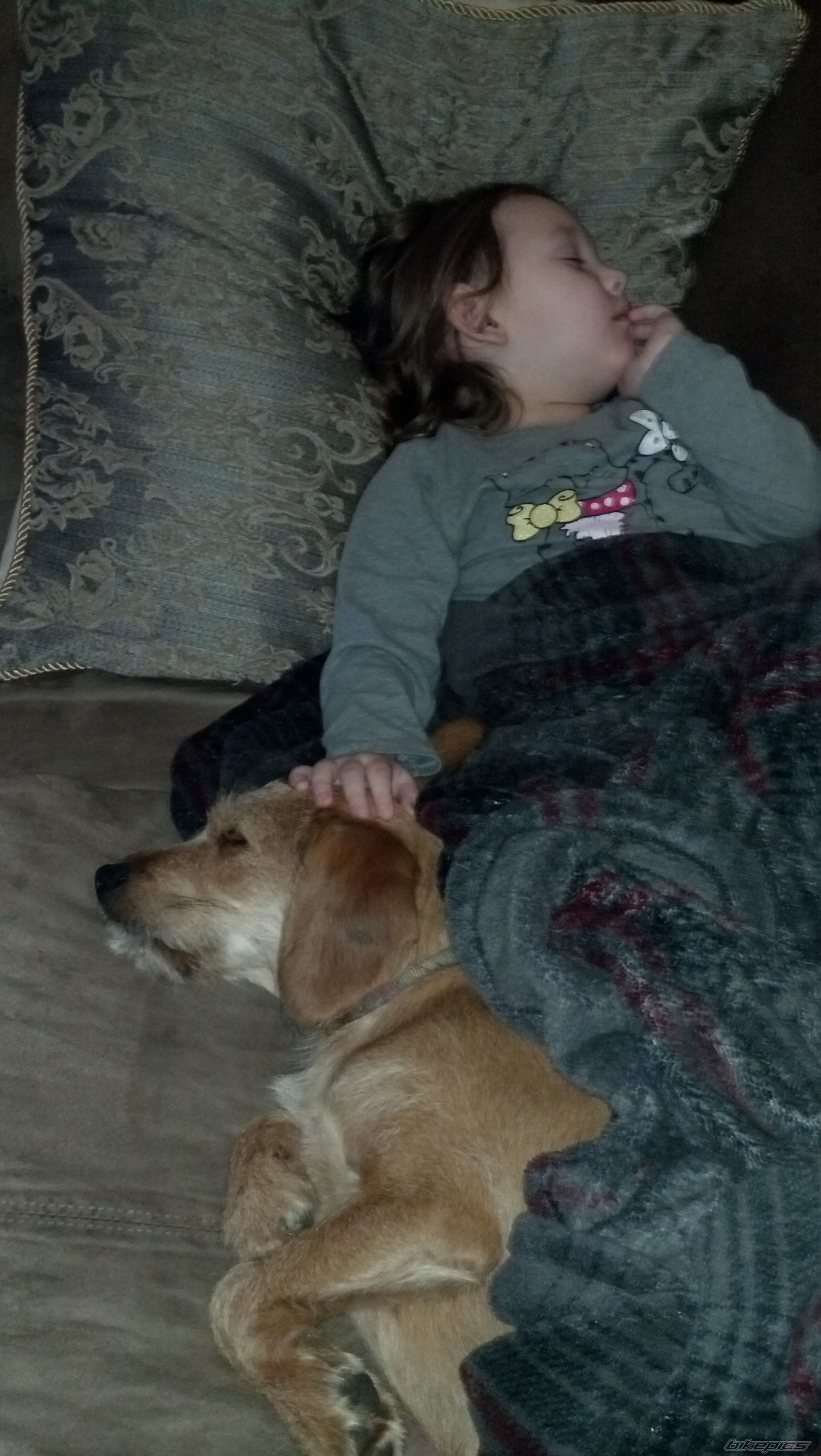 Photo 2575140