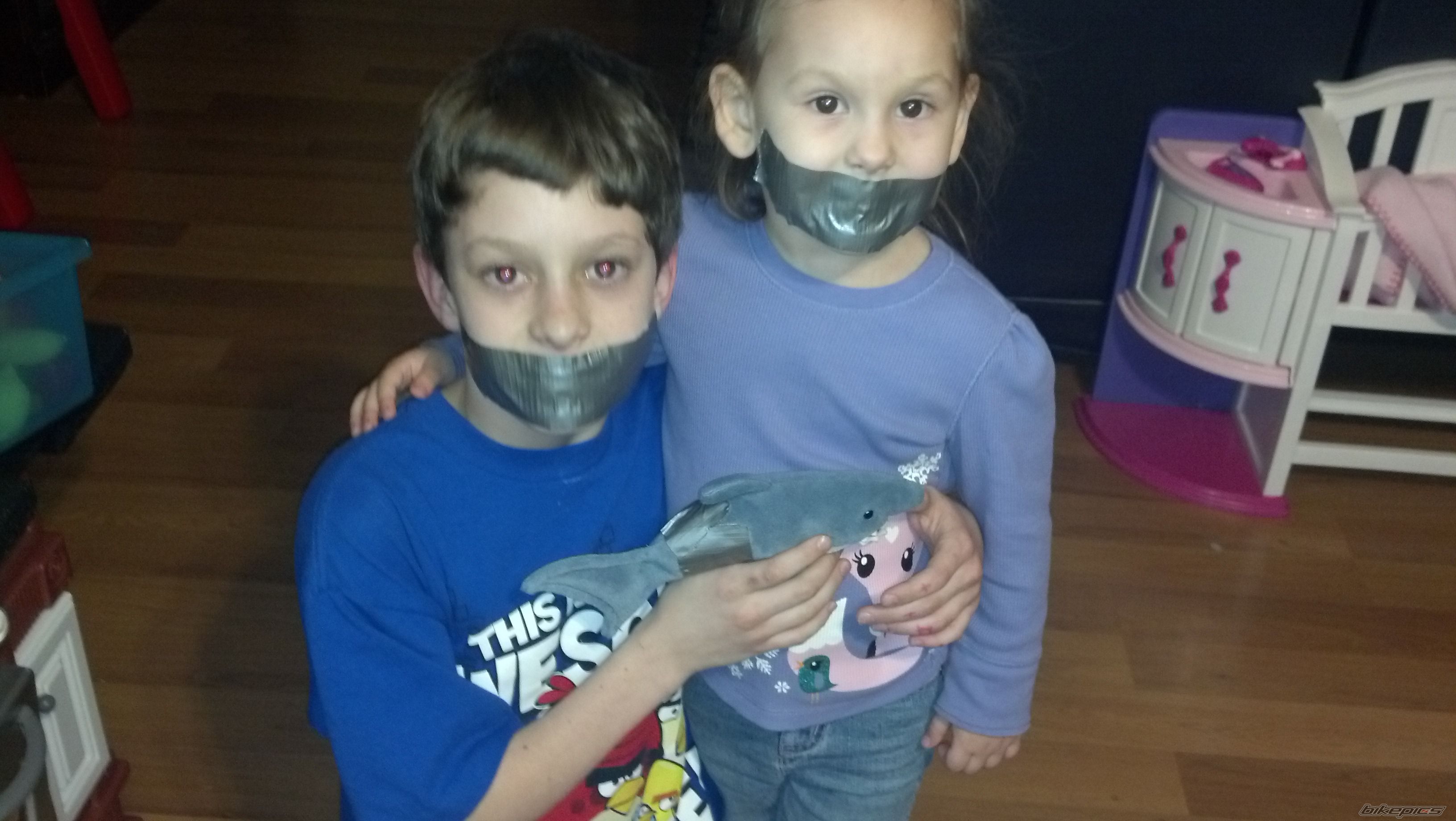 Photo 2575142