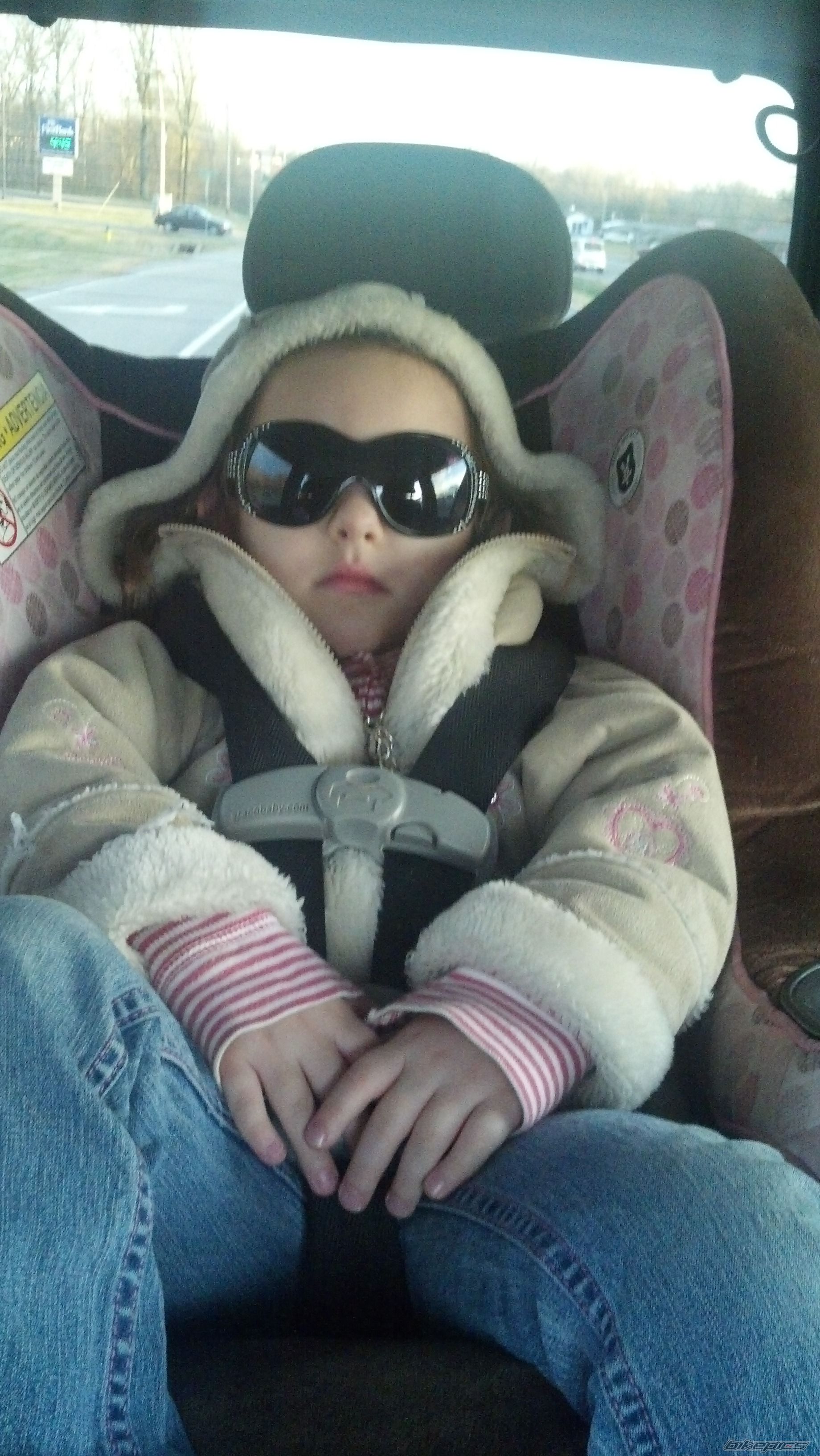 Photo 2575144