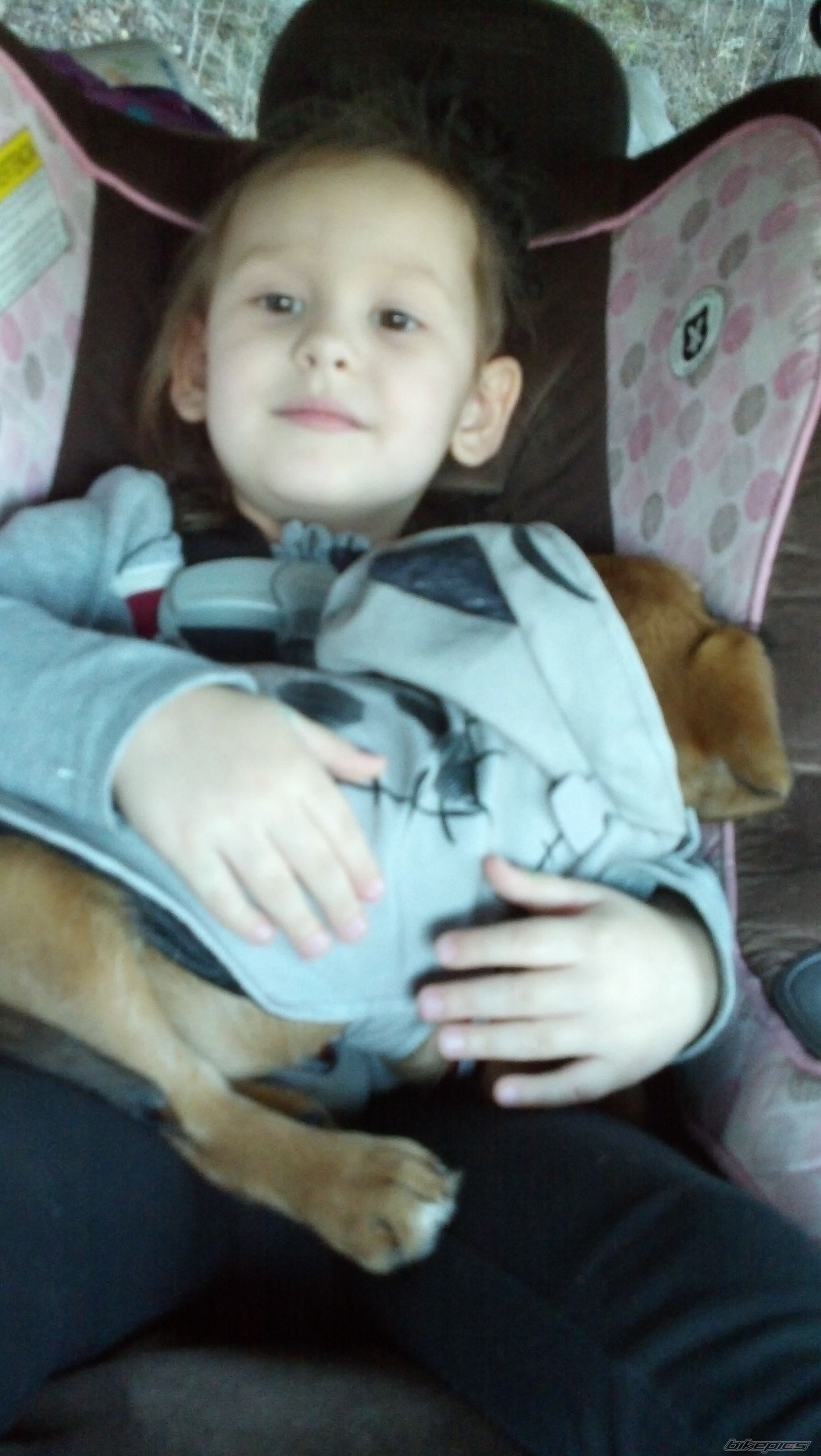 Photo 2575147