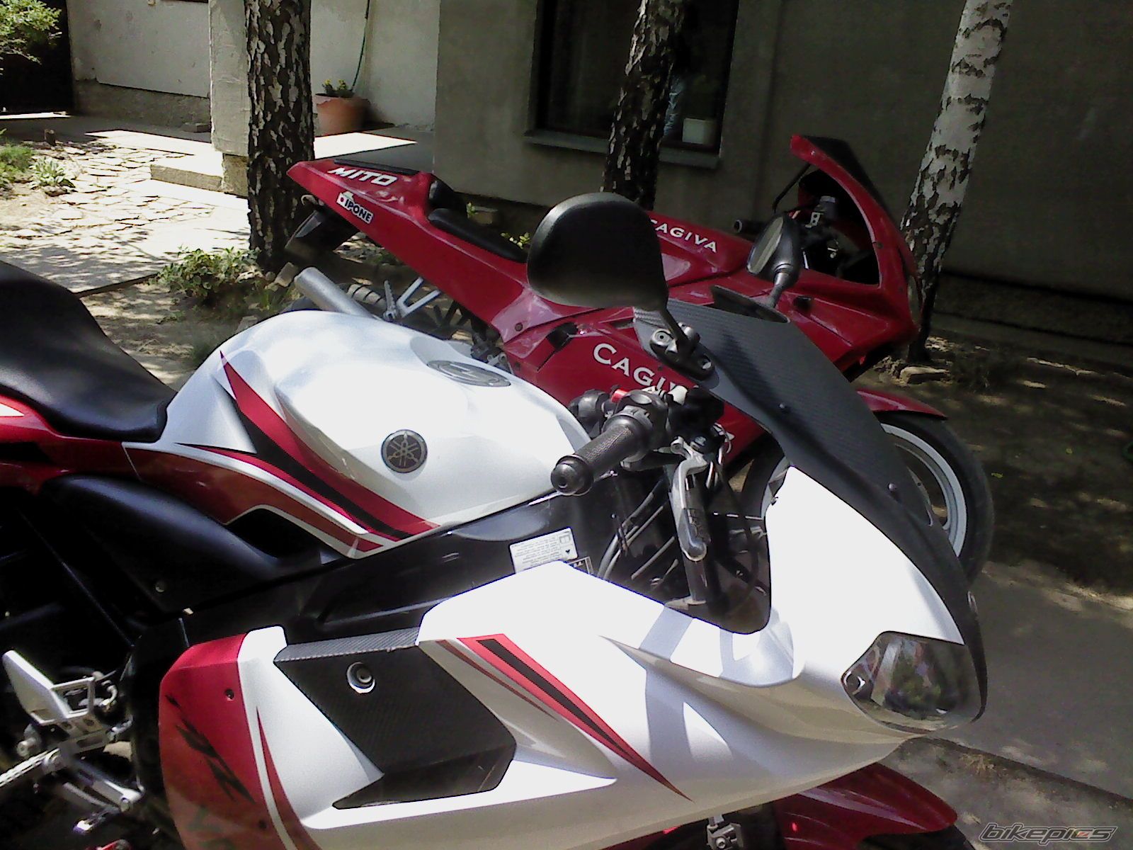 Photo 2575235
