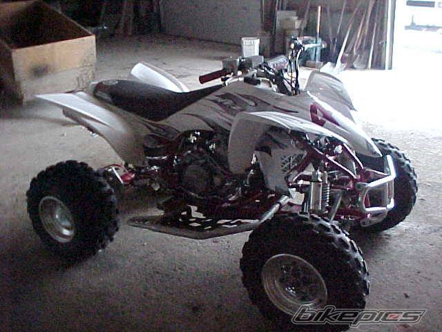 Photo 257529