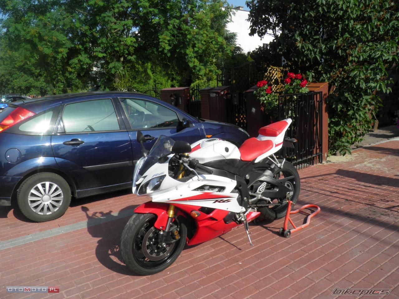Photo 2575304