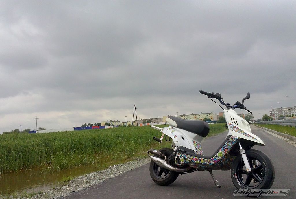 Photo 2575333