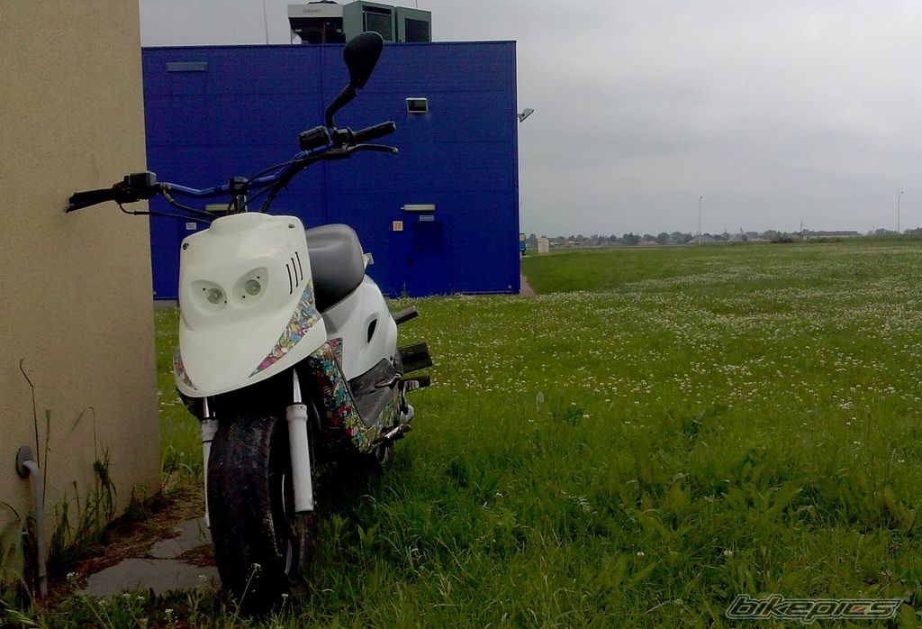 Photo 2575336