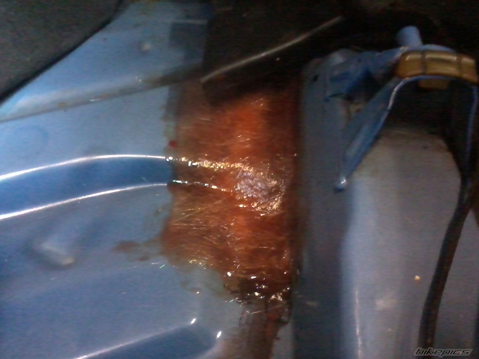 Photo 2575341