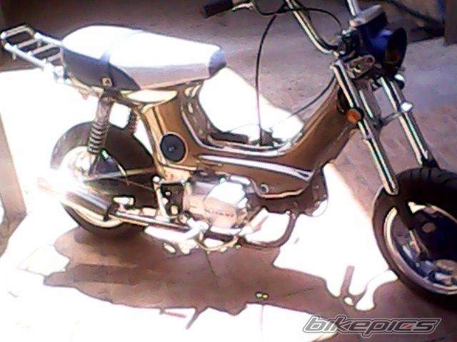 Photo 2575353