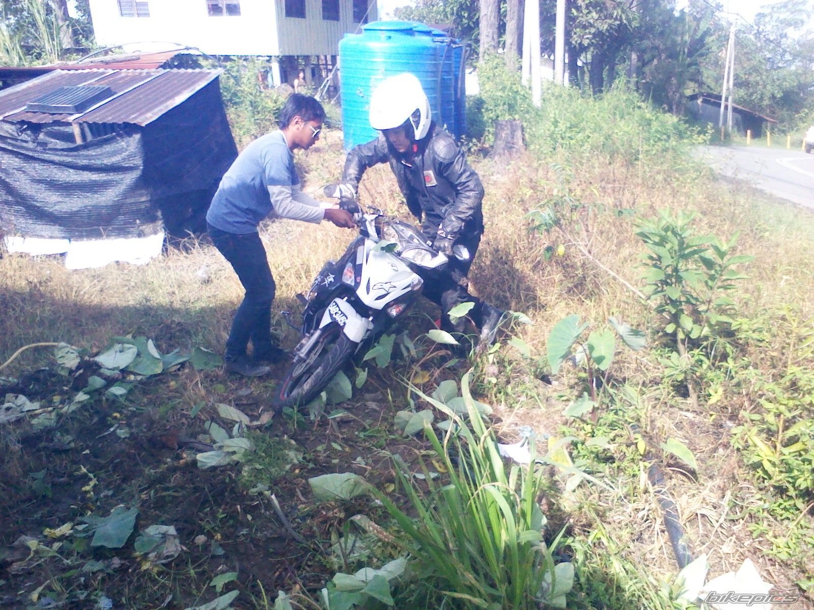 Photo 2575396