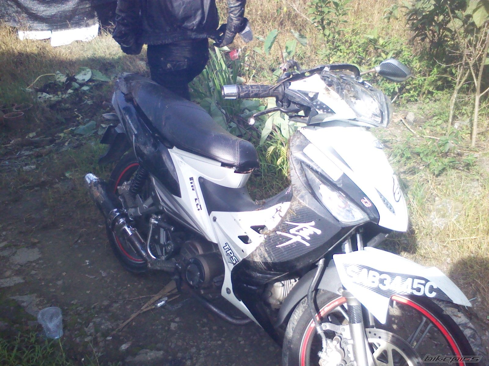 Photo 2575397