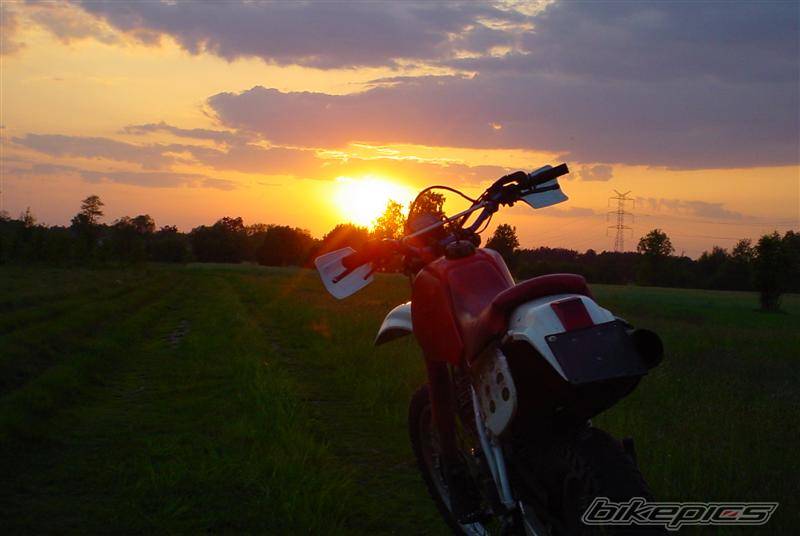 Photo 25754