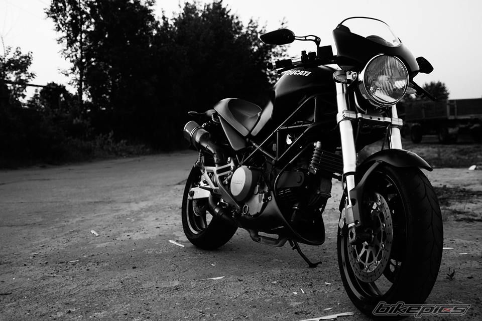 Photo 2575406