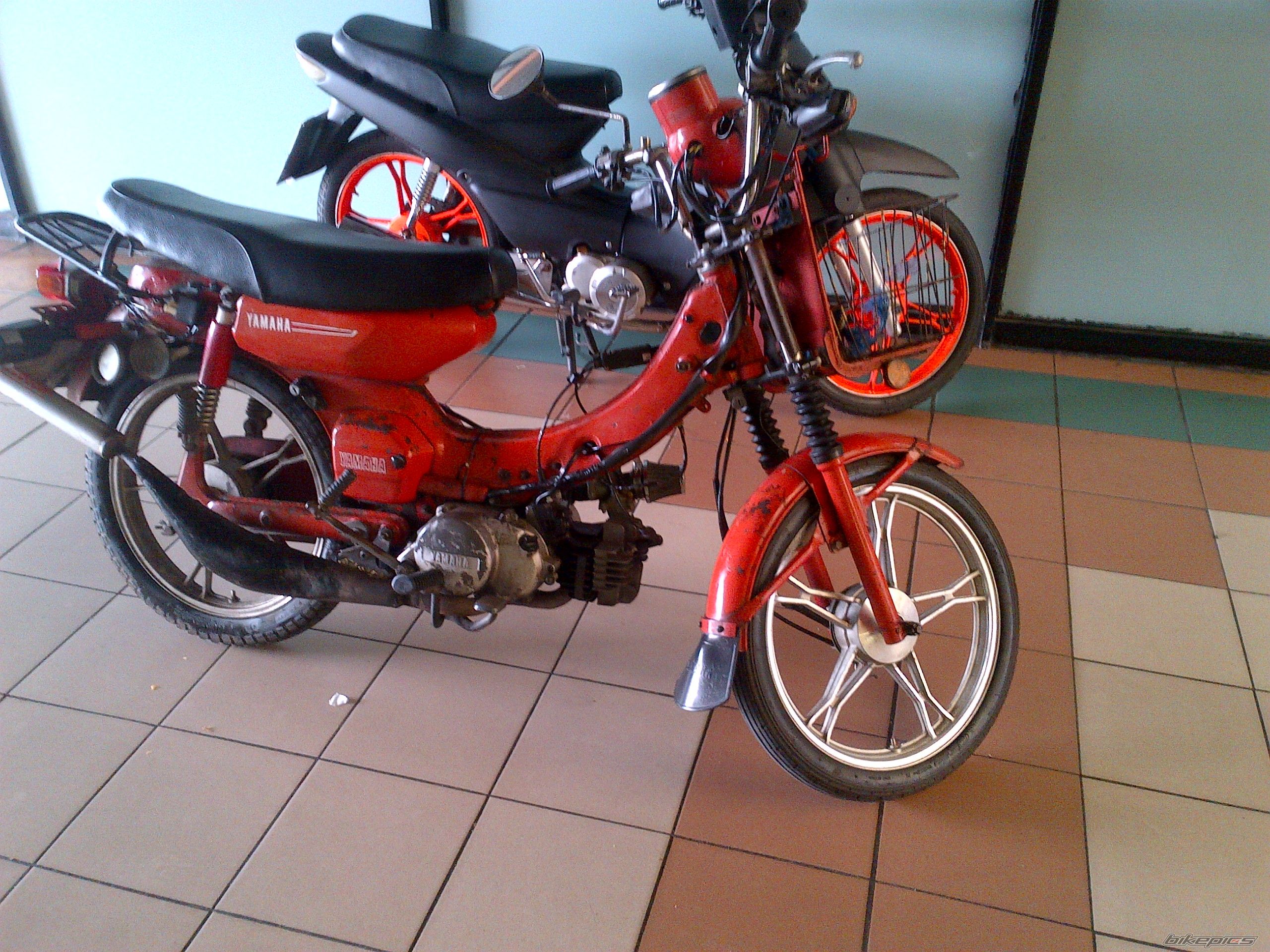 Photo 2575424