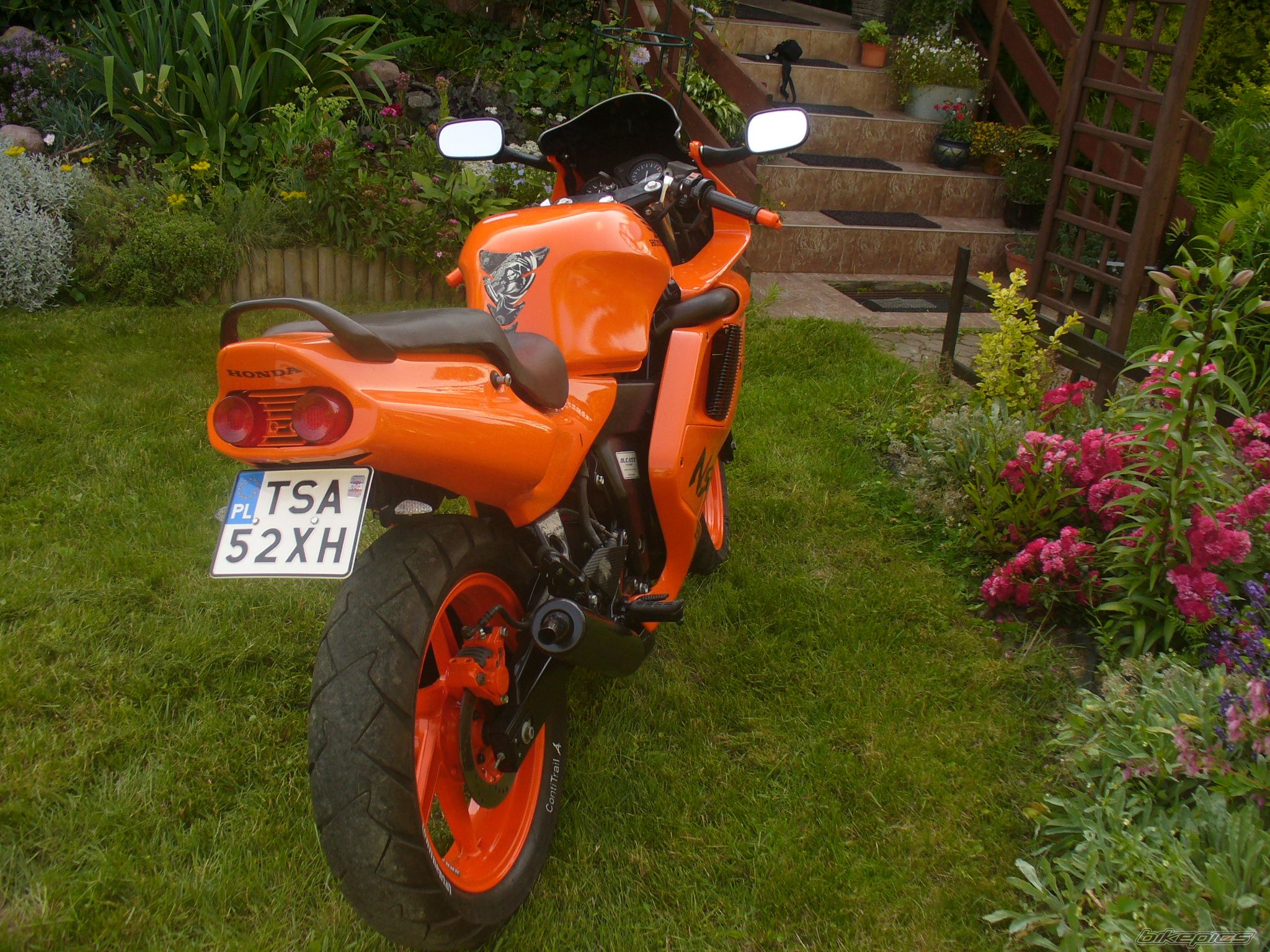 Photo 2575434