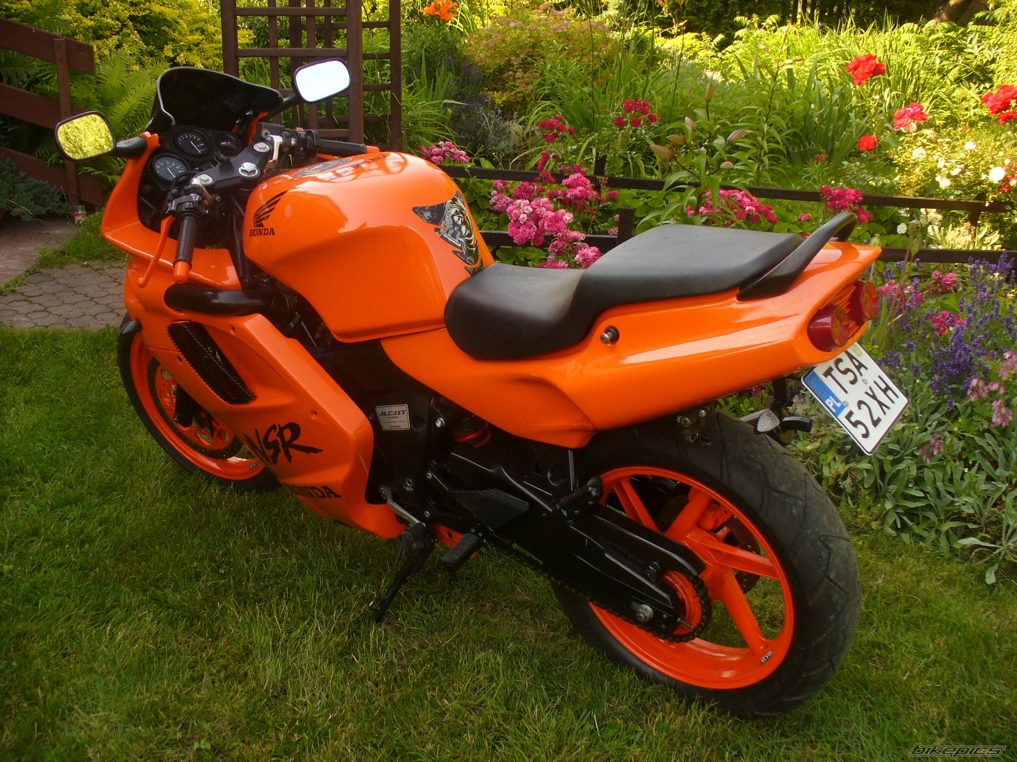 Photo 2575436
