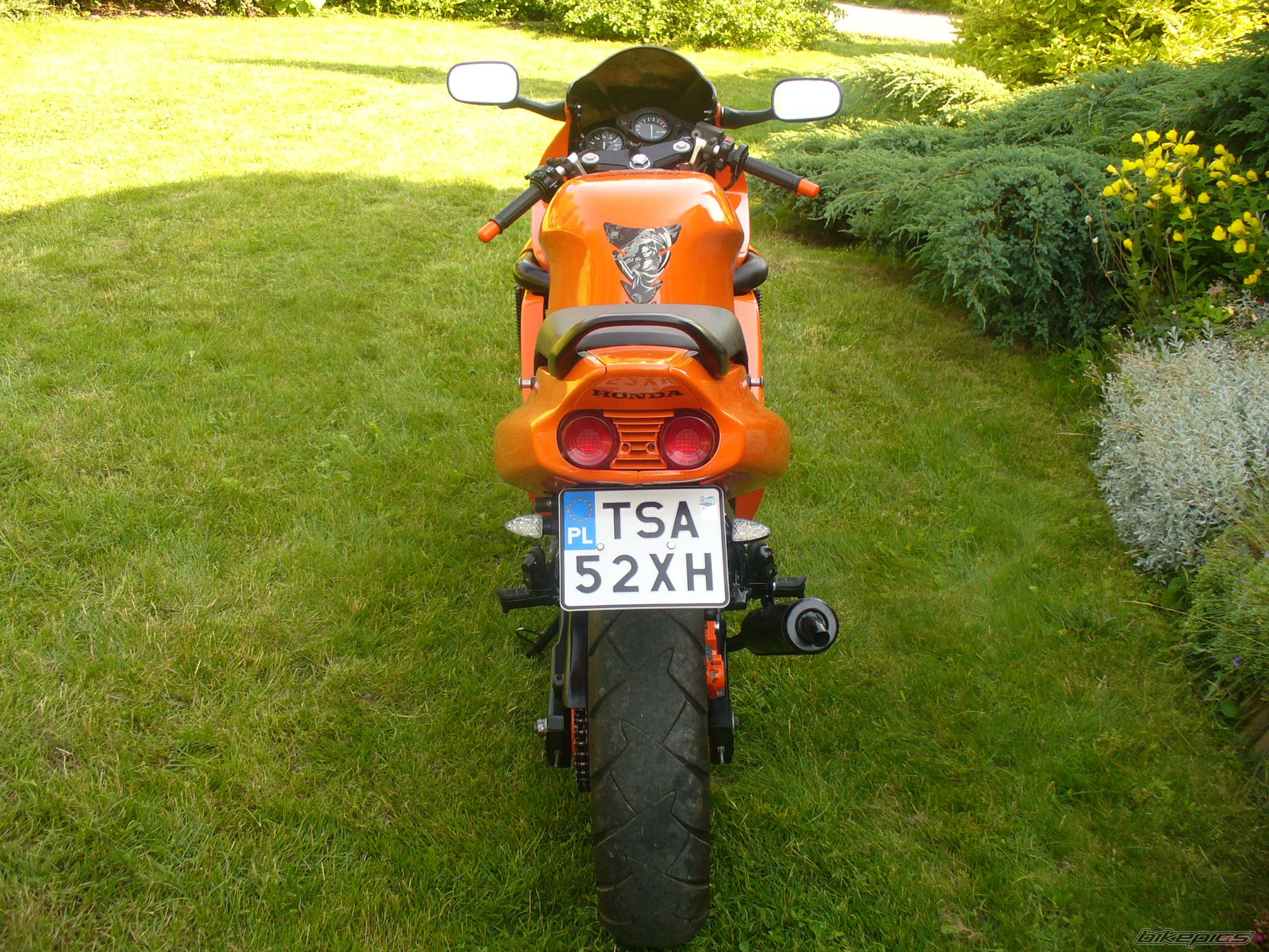 Photo 2575444