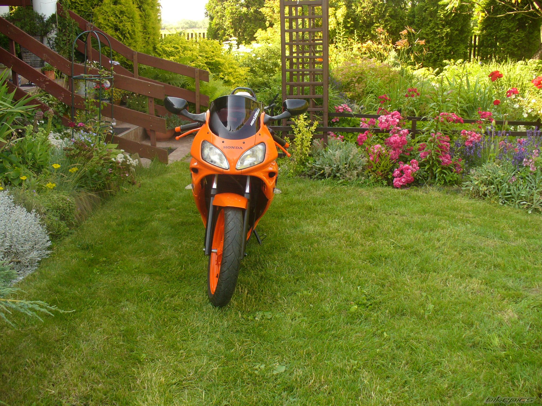 Photo 2575445