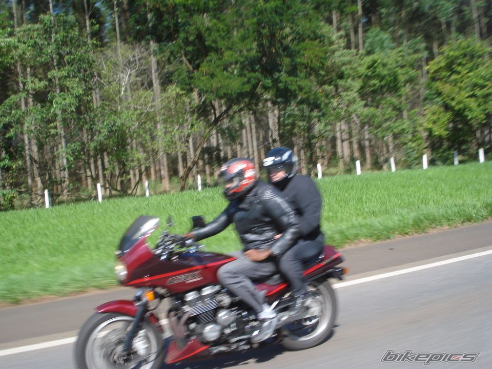 Photo 2575468