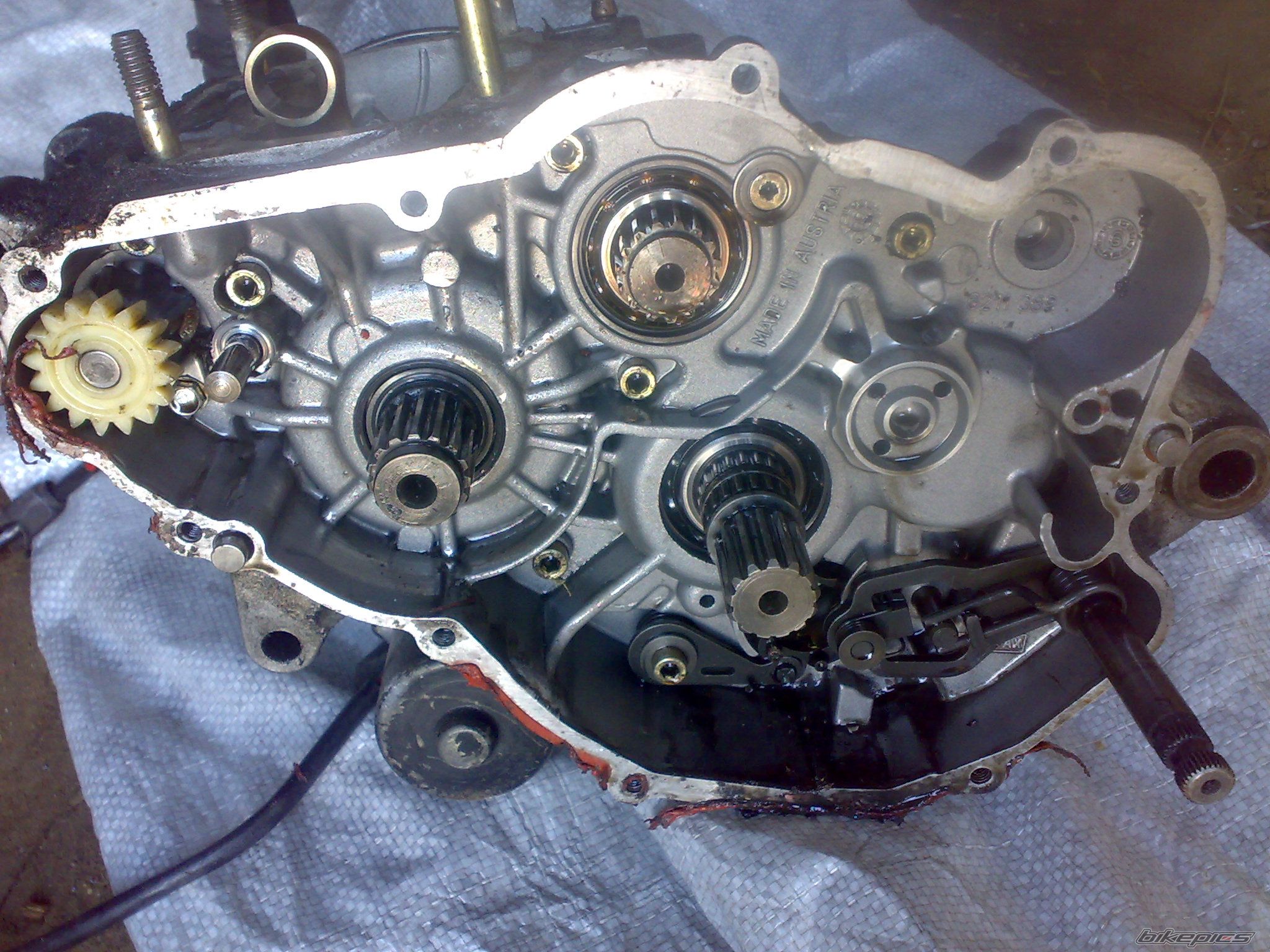 Photo 2575572