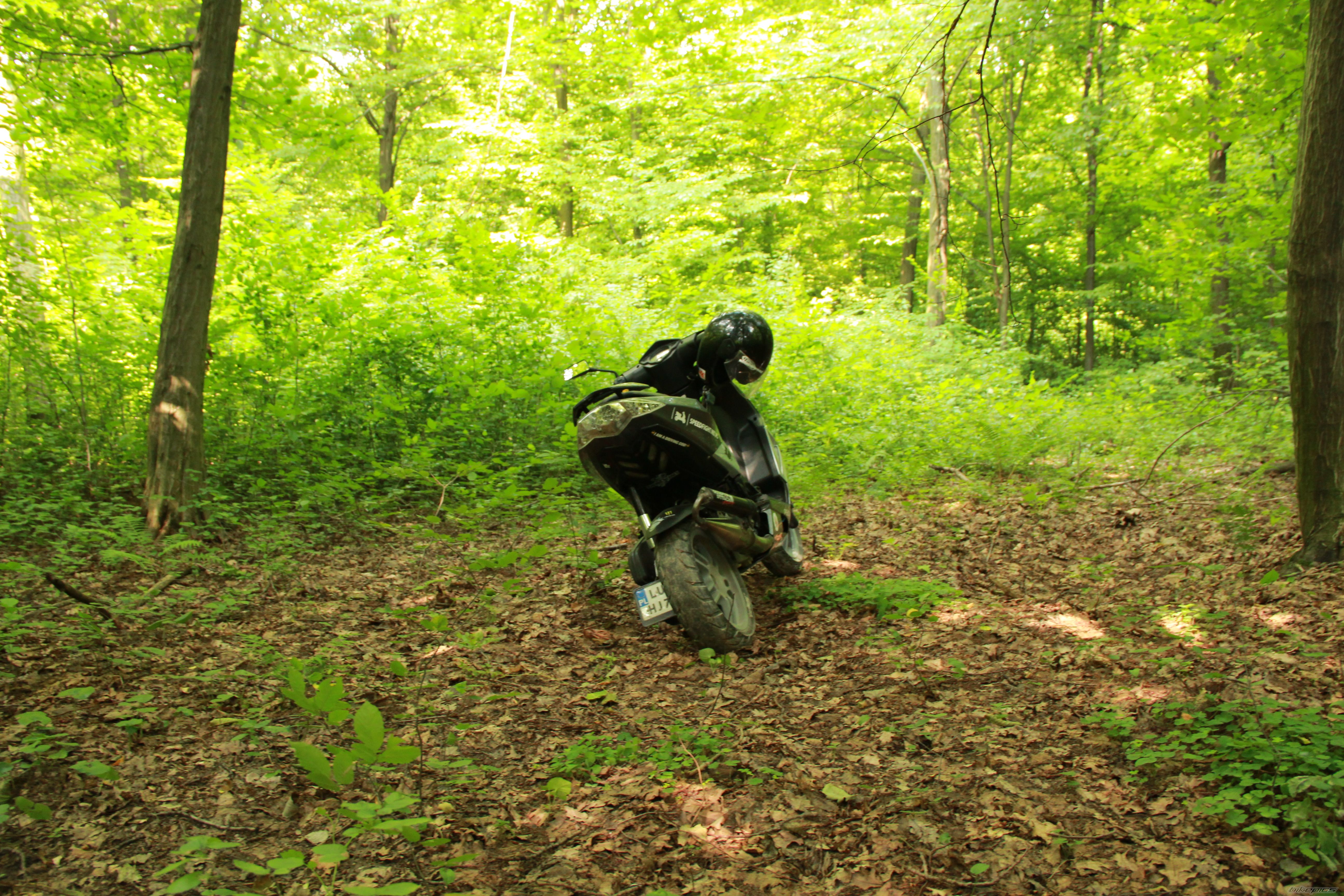 Photo 2575592