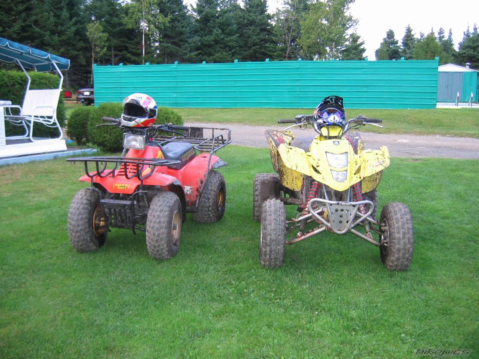 Photo 257564