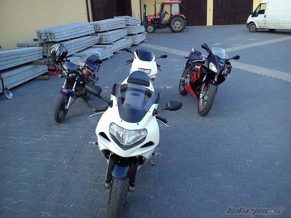 Photo 2575645