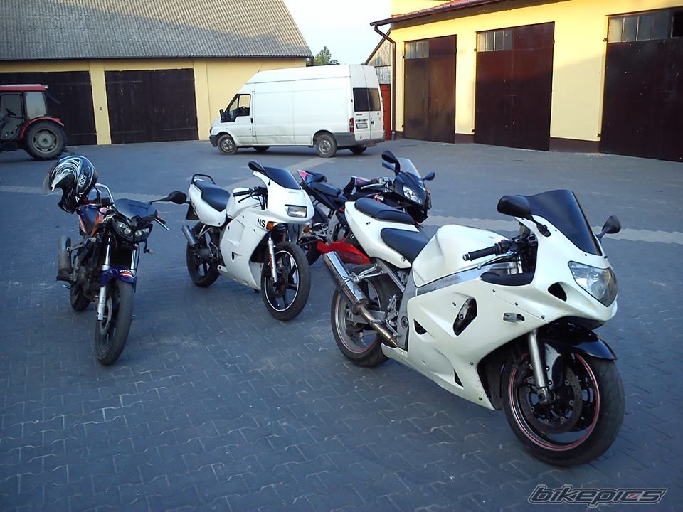 Photo 2575647