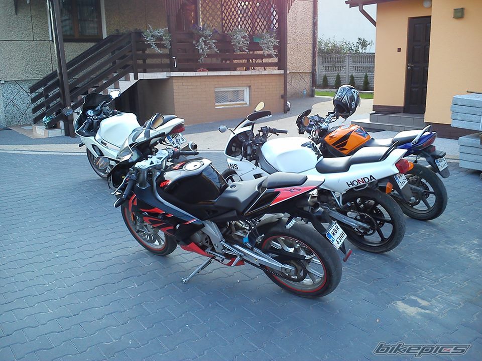 Photo 2575649