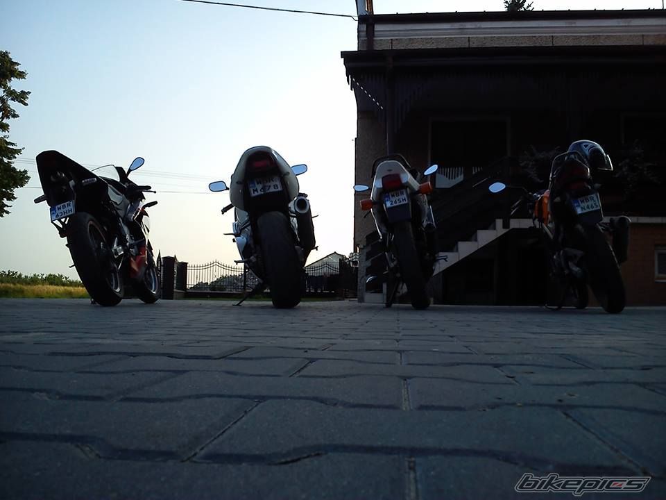 Photo 2575653