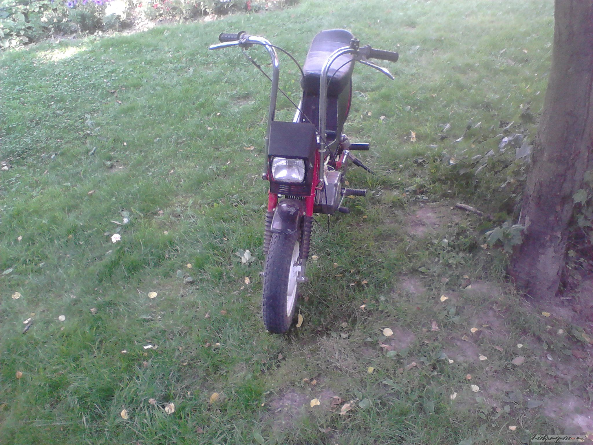 Photo 2575689