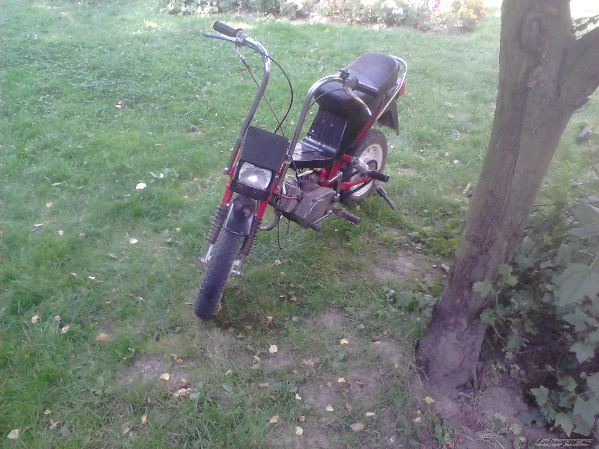Photo 2575690
