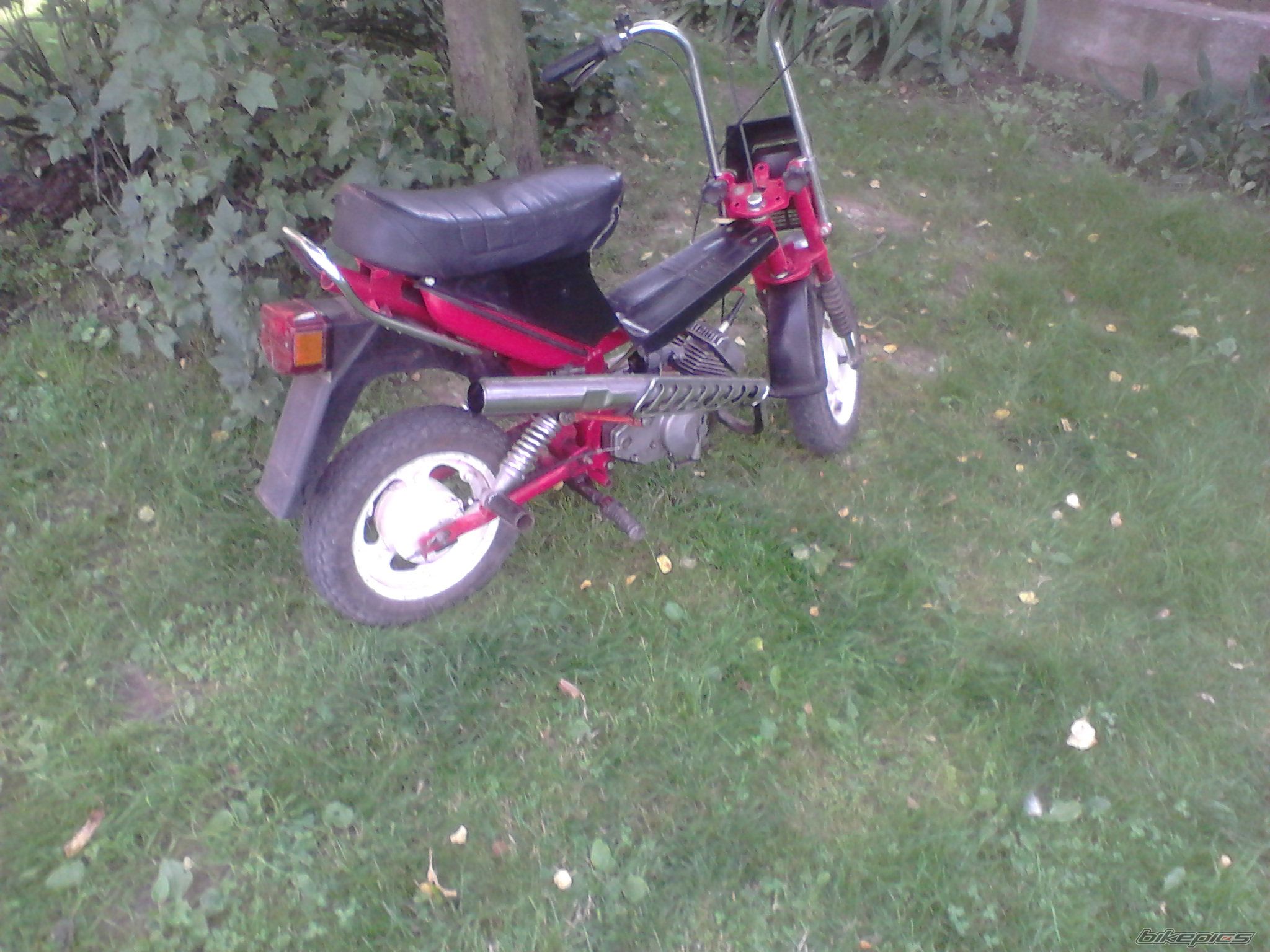 Photo 2575692