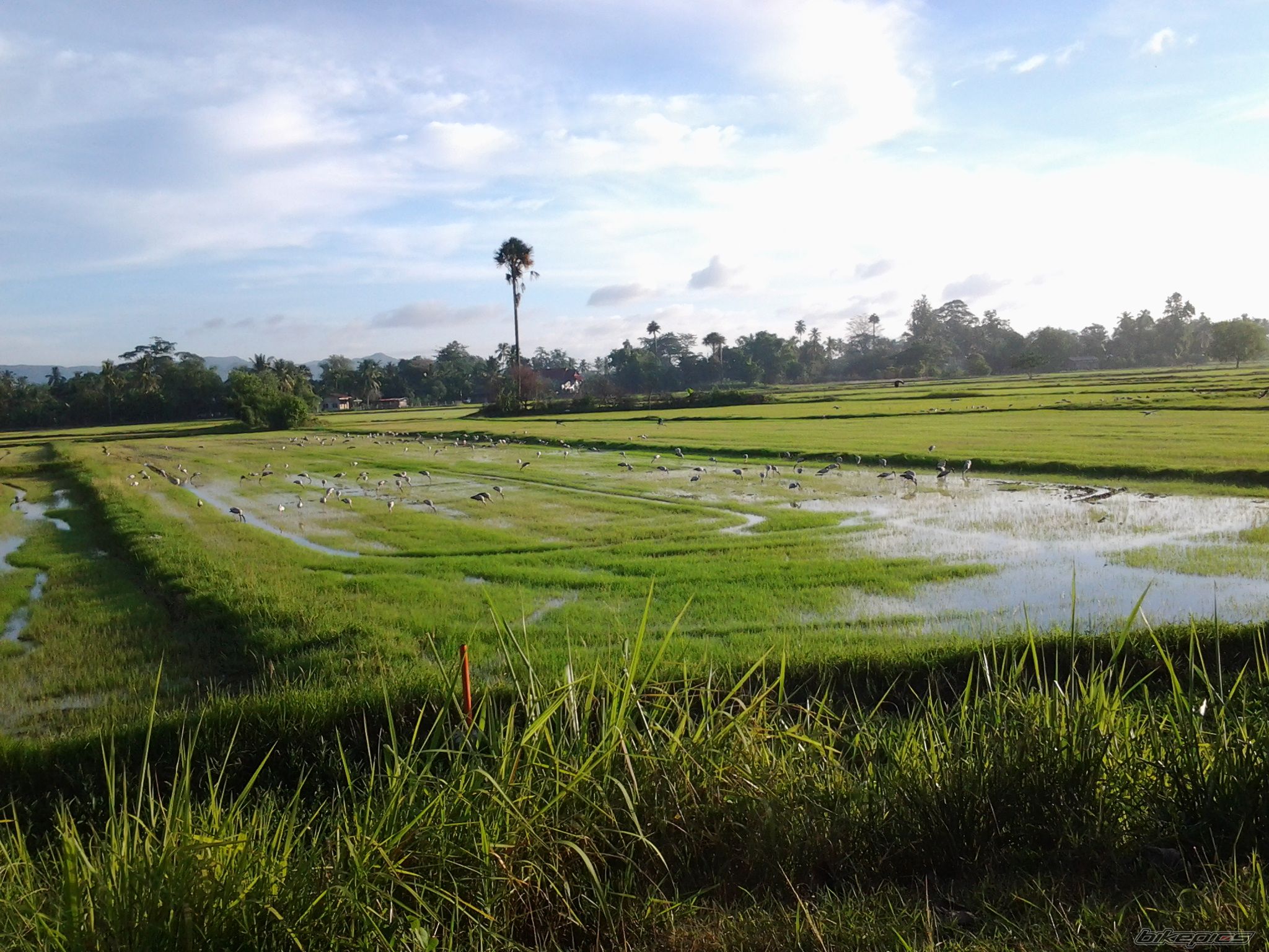 Photo 2575727