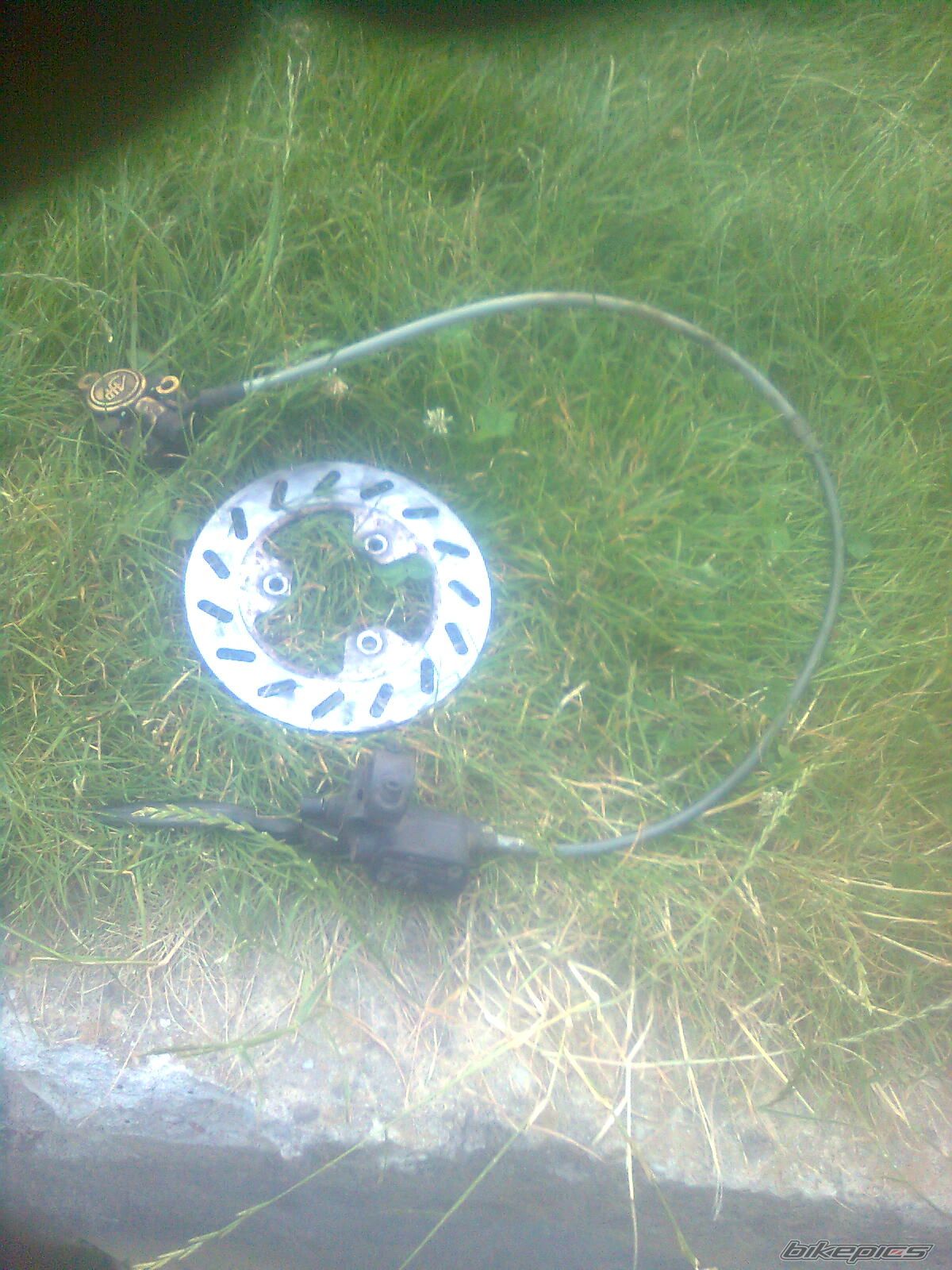Photo 2575765