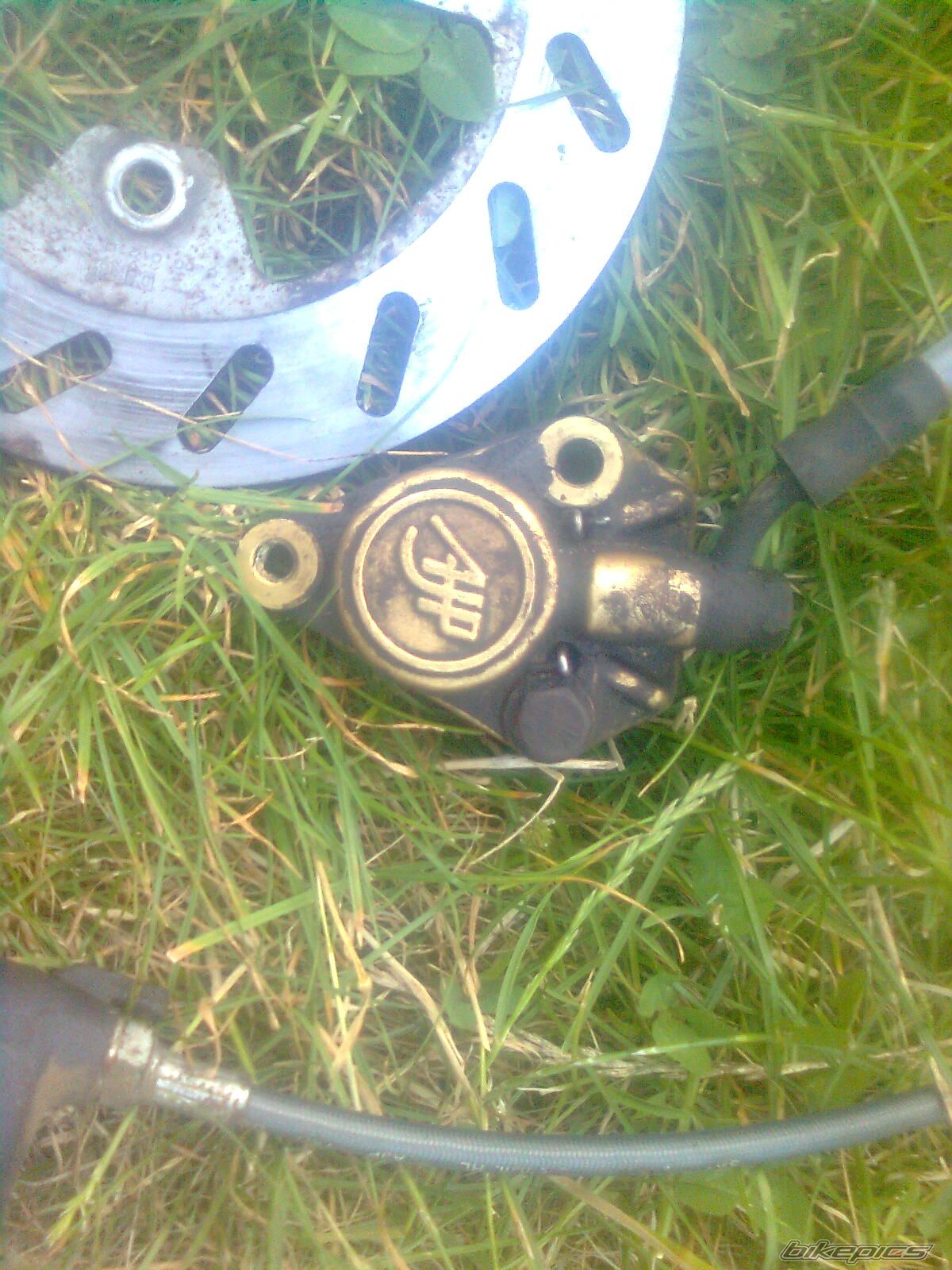 Photo 2575766