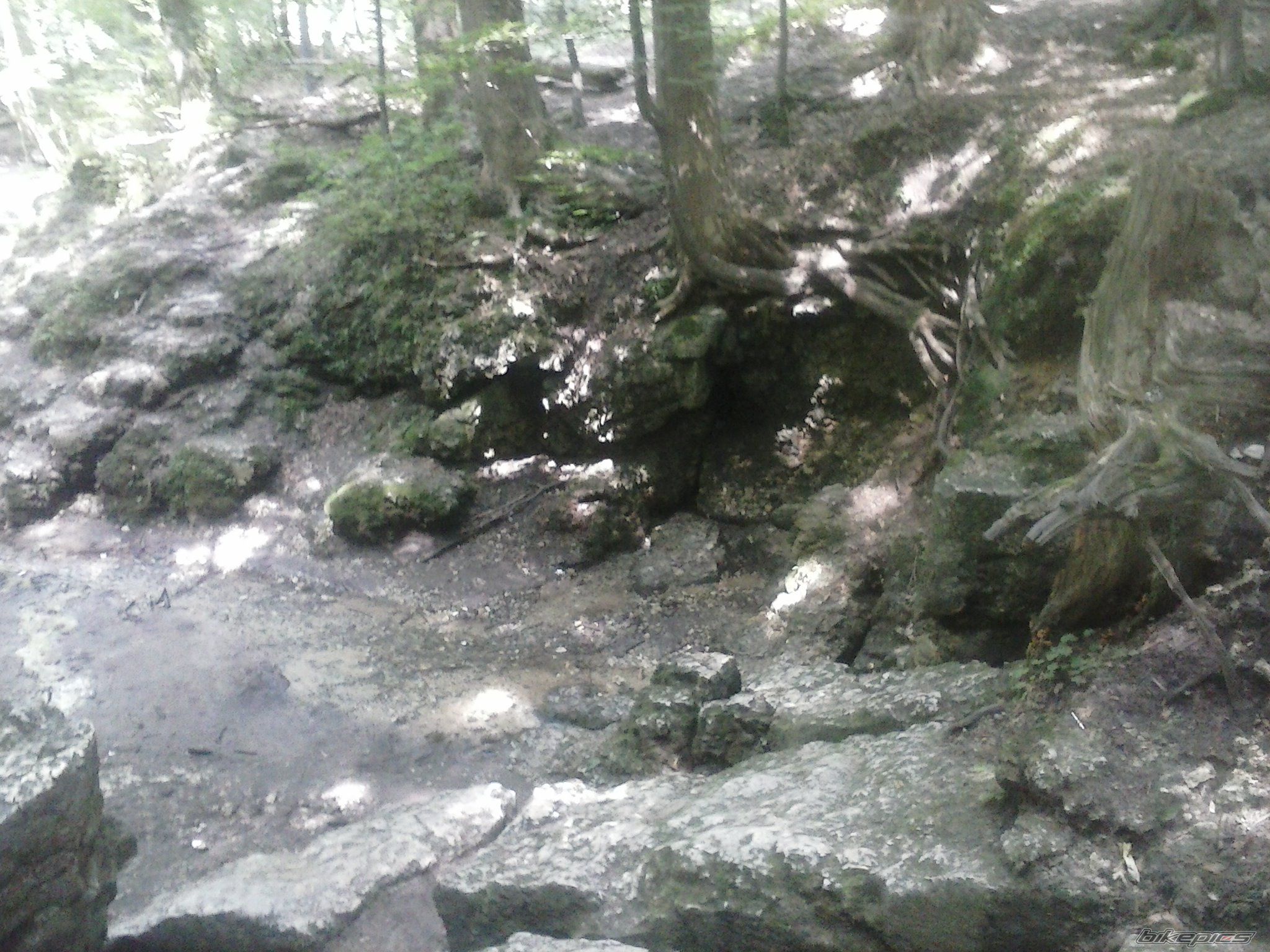 Photo 2575771